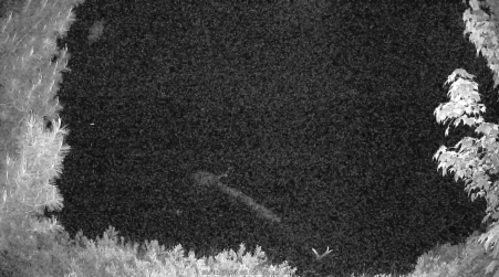 Image from 2025-06-06