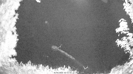 Image from 2025-06-06