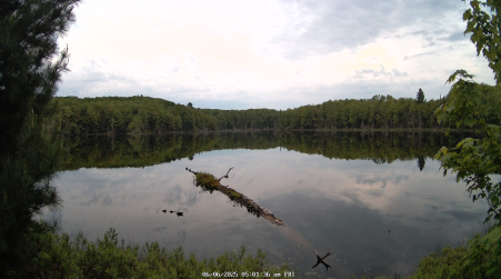 Image from 2025-06-06