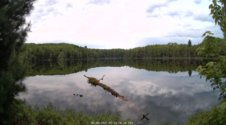Image from 2025-06-06