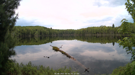 Image from 2025-06-06