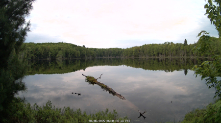 Image from 2025-06-06