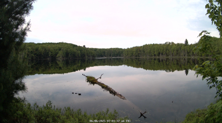 Image from 2025-06-06