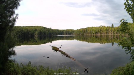 Image from 2025-06-06