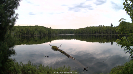 Image from 2025-06-06
