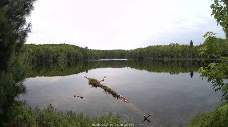 Image from 2025-06-06