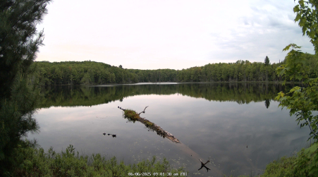 Image from 2025-06-06