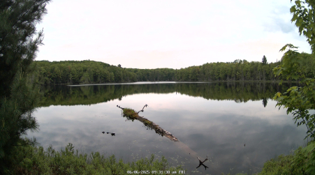 Image from 2025-06-06