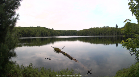 Image from 2025-06-06