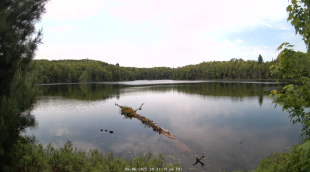 Image from 2025-06-06