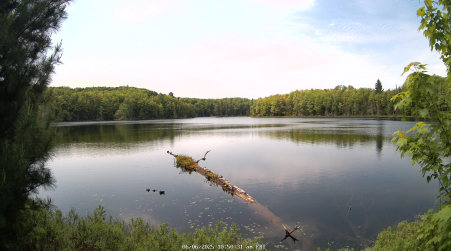 Image from 2025-06-06