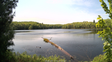 Image from 2025-06-06