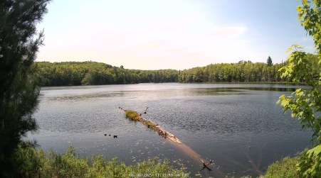 Image from 2025-06-06