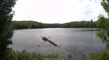Image from 2025-06-06