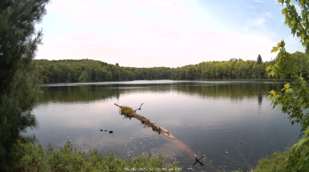 Image from 2025-06-06