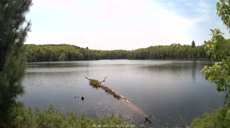 Image from 2025-06-06
