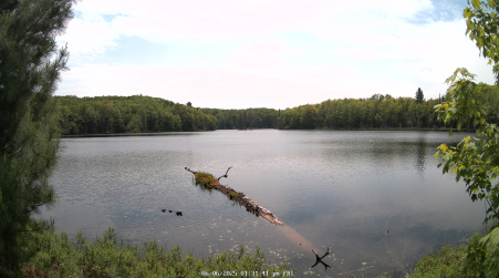 Image from 2025-06-06