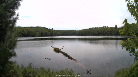 Image from 2025-06-06