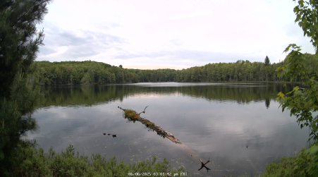 Image from 2025-06-06