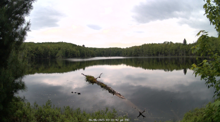 Image from 2025-06-06