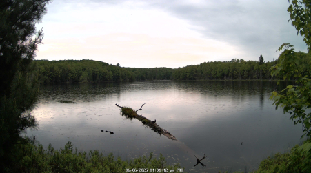 Image from 2025-06-06