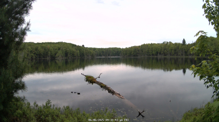 Image from 2025-06-06
