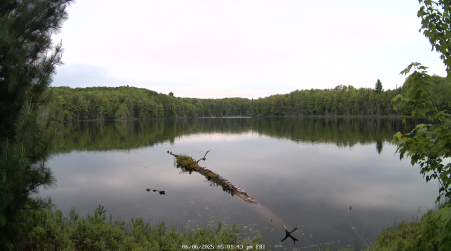 Image from 2025-06-06