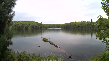 Image from 2025-06-06