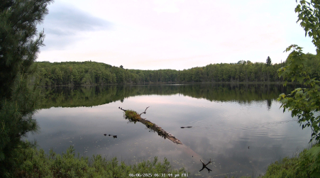 Image from 2025-06-06