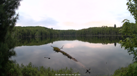 Image from 2025-06-06