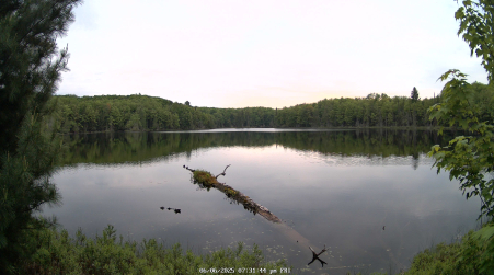 Image from 2025-06-06