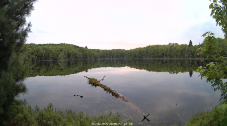 Image from 2025-06-06