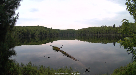 Image from 2025-06-06