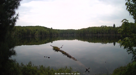 Image from 2025-06-06