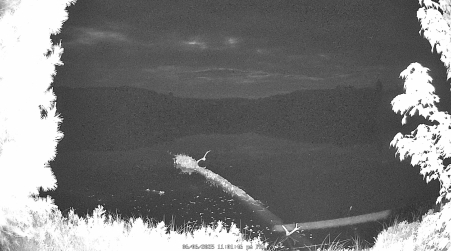 Image from 2025-06-06