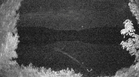 Image from 2025-06-06