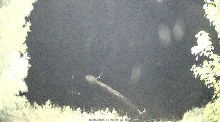 Image from 2025-06-06