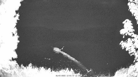 Image from 2025-06-07