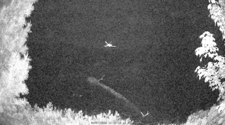 Image from 2025-06-07