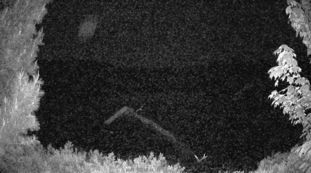Image from 2025-06-07