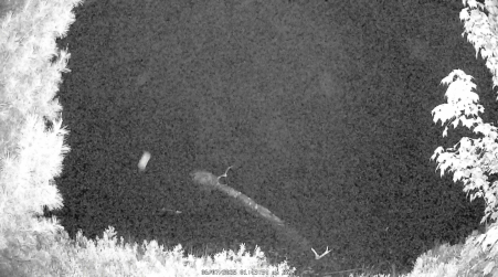 Image from 2025-06-07