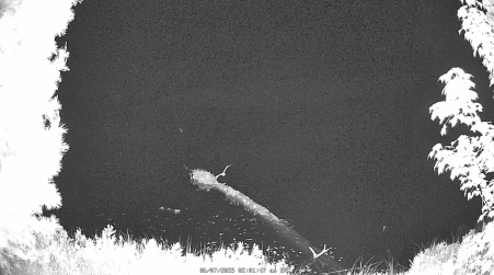 Image from 2025-06-07