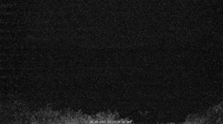 Image from 2025-06-07