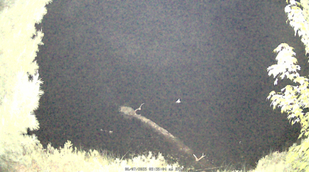Image from 2025-06-07
