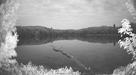 Image from 2025-06-07