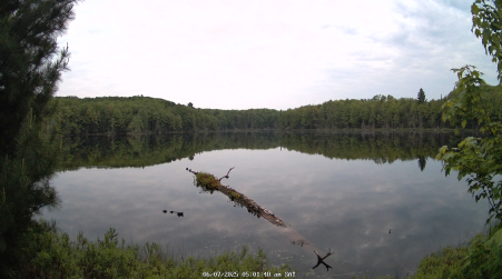 Image from 2025-06-07