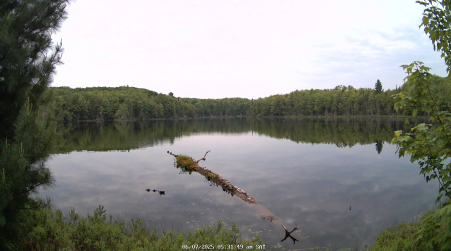 Image from 2025-06-07