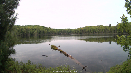 Image from 2025-06-07