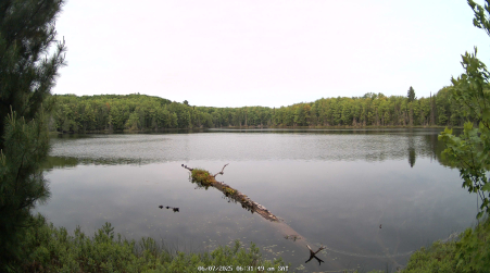 Image from 2025-06-07