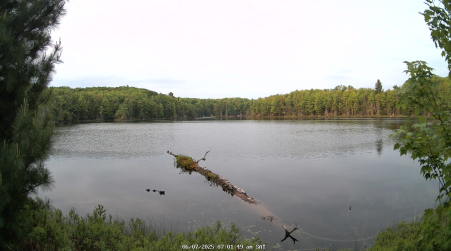 Image from 2025-06-07